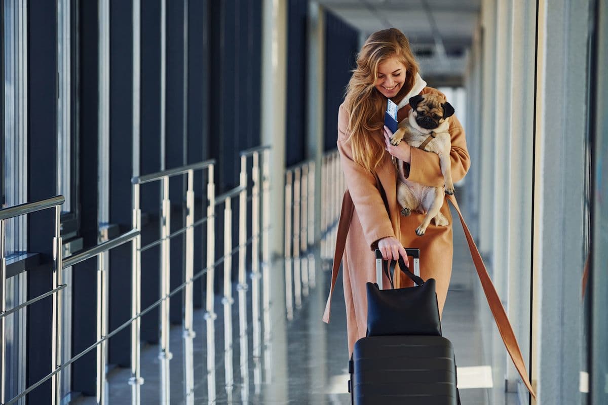 A woman holding a small dog and a boarding pass while walking down an airport jet bridge.